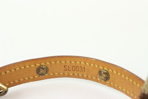 Louis Vuitton Monogram Baxter Leash and Collar Set 1012lv33