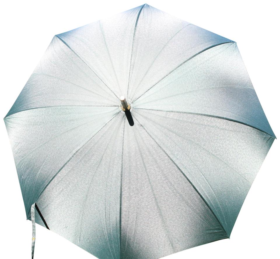 umbrella louis vuittons