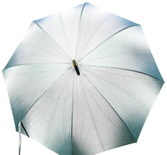 brigg vs louis vuitton umbrella