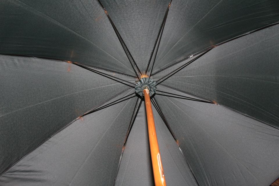 Louis Vuitton Green Umbrella