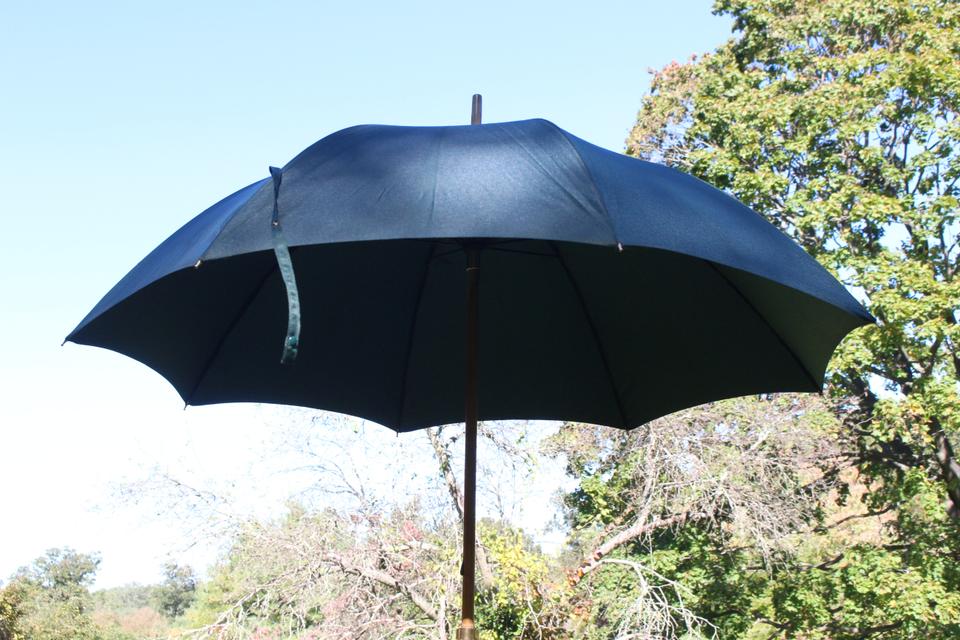 lv umbrellas for women
